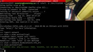 Networking on m5stack micropython