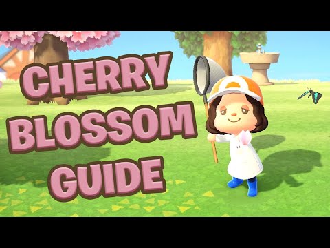 How To Collect Cherry Blossoms In Animal Crossing: New Horizons