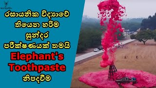 අලින්ගේ දත්බෙහෙත් හදන හැටි දන්නවද?