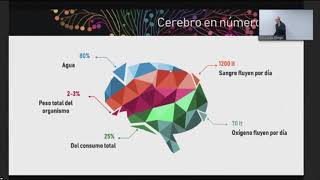 Liderazgo de Proyectos desde la Visión de las Neurociencias - Lucas Canga