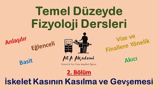 Temel Fizyoloji Dersleri (Kas Fizyolojisi - İskelet Kasının Kasılması ve Gevşemesi)