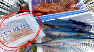 【神回】冷凍食品の「シーフードミックス」で船釣りした結果がヤバすぎたw w w