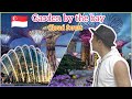 Garden by the bay and cloud forest in Singapore-Travelearn