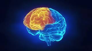 Broken Brain Trailer