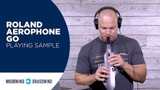 Roland Aerophone Go: Playing Sample