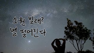 🇦🇺무게라호수투어|브리즈번 은하수,별보기,야경보기,라임타기,야생캥거루보기