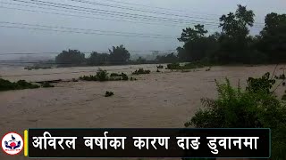 अविरल बर्षाका कारण दाङ डुवानमा | News | Danfe Tv | Dang | Flood