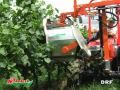 DRF doble barrel leaf remover Rinieri Defogliatrice