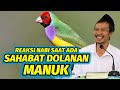 Ngaji Gus Baha. Reaksi Nabi saat ada sahabat dolanan manuk.