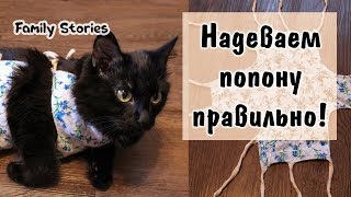 Как надевать послеоперационную попону кошке правильно!