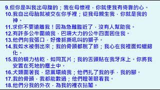 兩年讀經計畫--詩篇第二十二篇第二十三篇第二十四篇