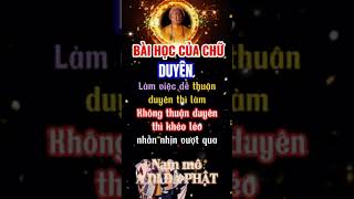 Bài học chữ duyên #thichminhtue #doanvanbau #lekhagiap #phucnhanduong #thichtritinh #phatphap #tu