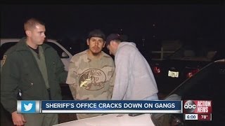 Hillsborough County Sheriff's Office cracks down on gangs
