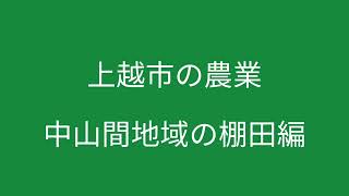 【中山間地域の棚田での米作りの様子】を紹介　スマート農業番外編