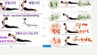 아쉬탕가요가 호흡시스템 업독 전환 포인트 Ashtanga Yoga Breathing System Transition to Up Dog