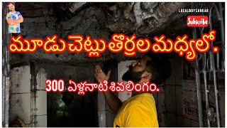 300 ఏళ్లనాటి శివలింగం. మూడు చెట్లు తోరల మధ్యలో.