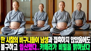 사찰의 4명의 비구니가 동시에 임신했다. 그들은 남성과 접촉한 적이 없다고 주장했다. 그러나 숨겨진 카메라가 충격적인 진실을 폭로했다