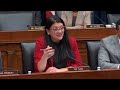 congresswoman rashida tlaib on public banking february 5 2025