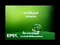 สมาธิเพื่อการดับทุกข์ อานาปานสติ ep.01 อานาปานสติ จิตในจิต ธรรมในธรรม ปรับปรุงเสียง