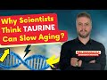 Why Scientists Believe Taurine Can Slow Down Aging and Cause Longevity