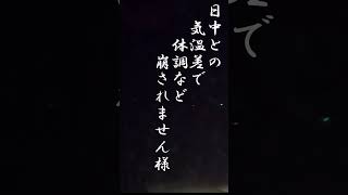 【JAL】CAさんの挨拶 2024年4月 ③寒暖差にご注意