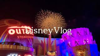 #3 お泊まりディズニーランドVlog