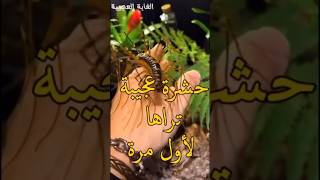 الطبيعة الجامحة ,كل ماهو مثير للدهشة والاستغراب#غرائب #شورتس #shorts