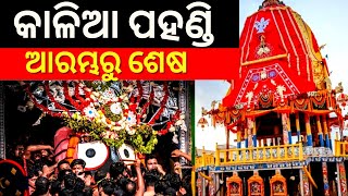 Rath Yatra |Jagannathଙ୍କ ପହଣ୍ଡି, ଆରମ୍ଭରୁ ଶେଷ | Puri Rath Yatra | Jagannth Mandir | Pahandi Rituals