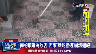 隔壁空地雜草叢生 雨過天晴炎熱蛇出沒