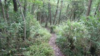 怒塚山・金甲山登山