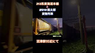 313系東海道本線とEF210 桃太郎　貨物列車　すれ違い　沼津駅付近にて記録　2023年7月27日撮影