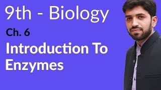 Matric part 1 Biology, Introduction to Enzymes - Ch 6 Enzymes biology - 9th Class Bilogy