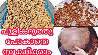 tamarind യൂട്യൂബിൽ ആദ്യമായി വർഷങ്ങളോളം പുളി കേടുവരാതെയും കറുത്തു പോകാതെയും സൂക്ഷിച്ചു വെക്കുന്ന രീതി