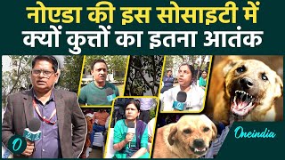 Noida Stray Dog Menace: क्यों हैं लोग परेशान, सुनिए उनकी आपबीती, क्या समाधान | वनइंडिया हिंदी