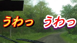 山の中での恐怖。釣りの最中突然の雷、大雨、ひょう。【釣りだね】釣り好き兄弟の釣行記。