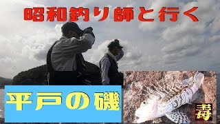 昭和釣り師と行く　平戸の磯