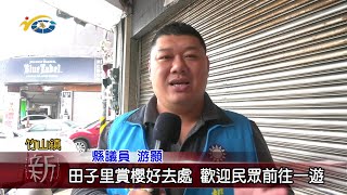 20230208 南投縣議會 民議新聞 田子里賞櫻好去處 歡迎民眾前往一遊(縣議員 游顥)