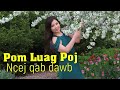 pom luag pojniam ncej qab dawb~08 14 2024~