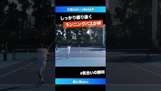 #技ありランニングパス【王座2024/3決S5】桃山晃(近大) #shorts #テニス #tennis