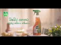 මේ අවුරුද්දේ dettol පුරුද්දට ඔයත් හුරුවෙන්න. dettolpuruddatahuruwenna