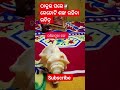 ଠାକୁର ଘରେ କେତୋଟି ଶଙ୍ଖ ରହିବା ଉଚିତ୍। youtubeshorts shortsvideo odiatips shorts pujatips short