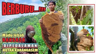 PETUALANG DEWATA |REJEKI MADU LEBAH LIAR PEDALAMAN |HUNTING HONEY BEE FOREST |HONEYCOMB HARVESTING