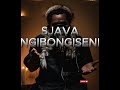 Sjava Ngibongiseni lyrics