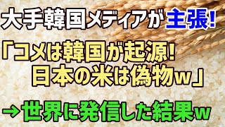 【海外の反応】韓国「コメの起源は我が国だ!日本は偽物w」中国「いや我が国だからw」真実を知った韓国人が衝撃を受ける!!【俺たちのJAPAN】