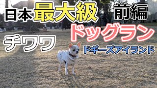 【チワワ】千葉にある愛犬と楽しめる日本最大級のドッグリゾート「ドギーズアイランド」に行ってきた（前編）