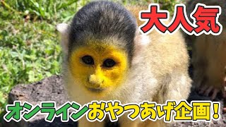 【オンラインおやつあげ】ZOO EATSリスザル編