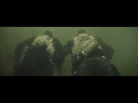 Marine Youtube Marine Youtube
