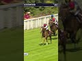 Kyprios completes the Ascot Gold Cup-Goodwood Cup double 🏆