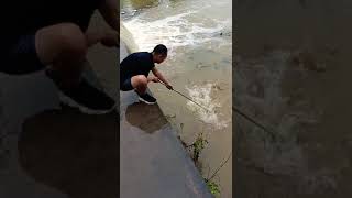 Trap hand fishing movie, best throwing Catching fishing, bass fishing, village fishing, @phfish