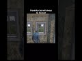 proximity chat on dayz is the best dayz dayzstandalone dayzgameplay gaming gameplay